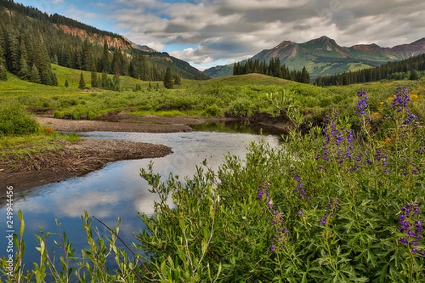 Fototapeta River curves through a wildflower meadow 