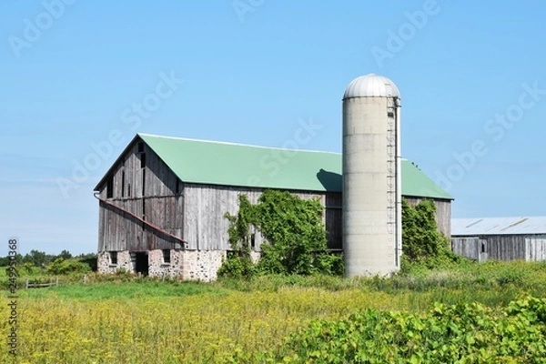 Fototapeta Old Barn and Silo