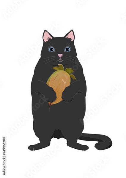 Obraz ねことまたたび01