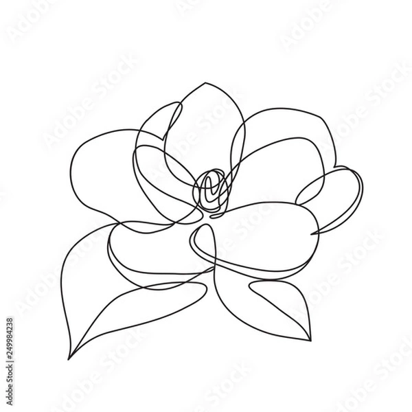 Obraz rose line icon