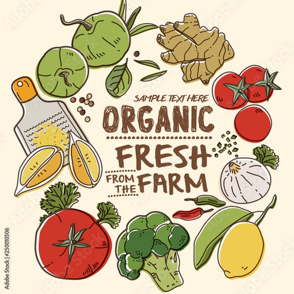 Obraz Fresh organic farm vegetables