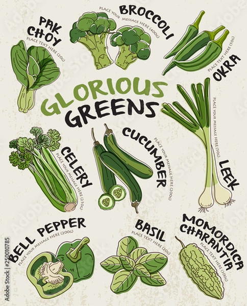 Obraz Green Vegetables background vector.