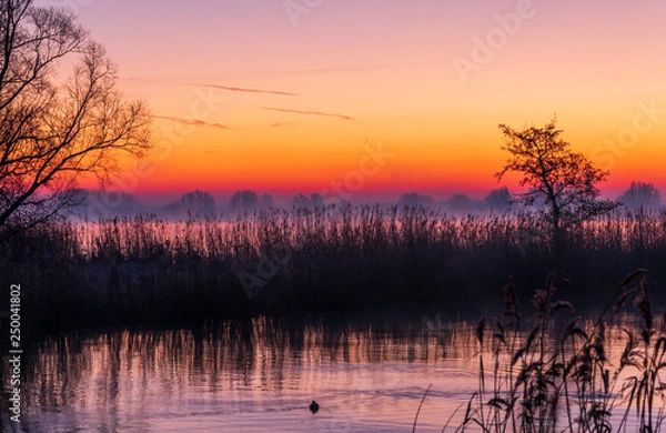 Obraz Orange sunset at the river