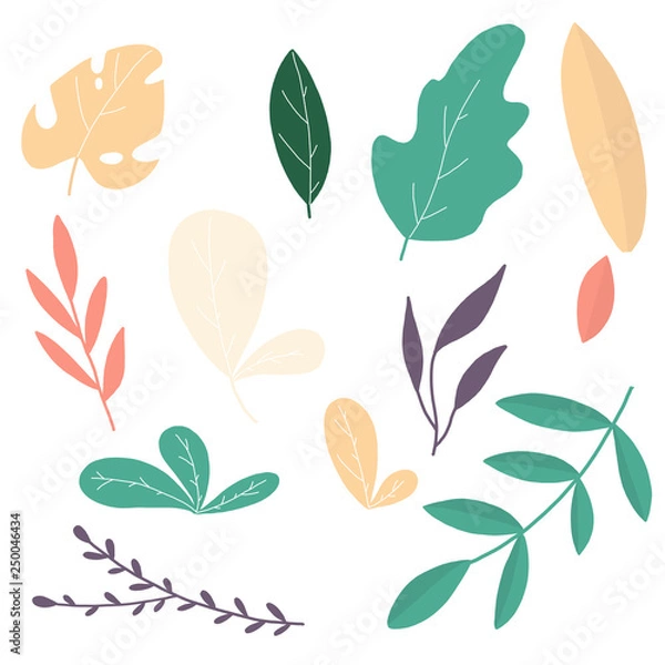Obraz leaves set vector illustrations