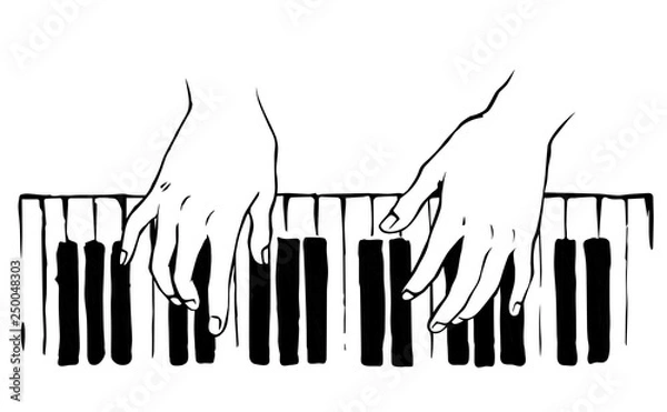 Fototapeta Hands on the keyboard. Vector drawing