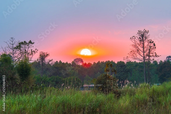 Obraz Beautiful sunsets in the countryside.47