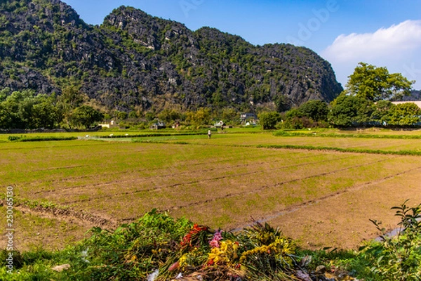 Obraz A view from Hoa Lu ancient capital