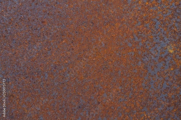 Obraz rusted sheet metal