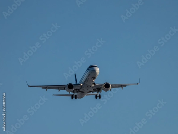 Obraz Plane flying in the sky