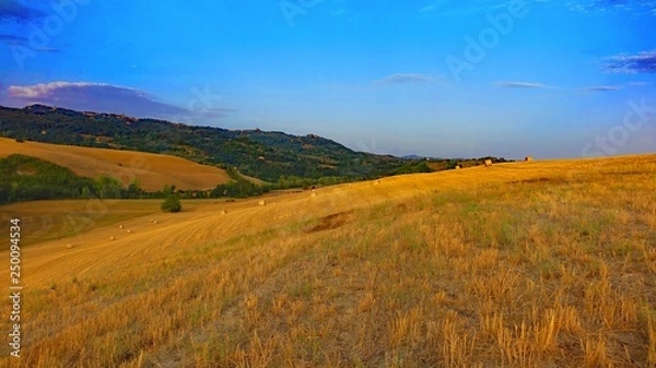 Fototapeta Getreideernte