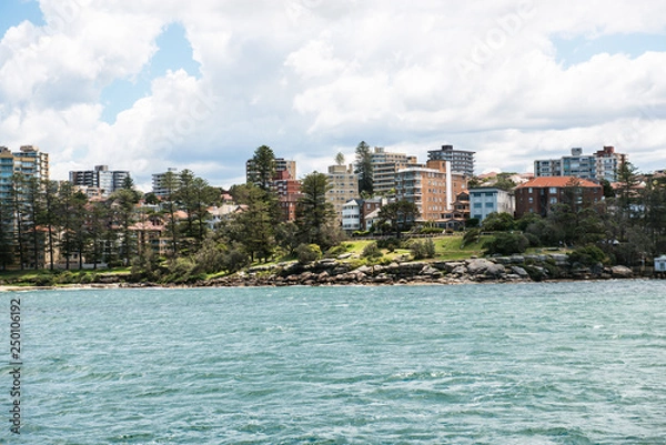 Fototapeta Manly 8852