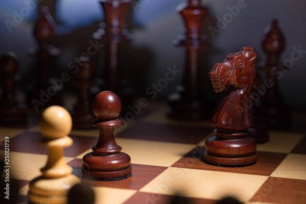 Obraz White and black chess pawls. Close up. E2-E4 classic start.