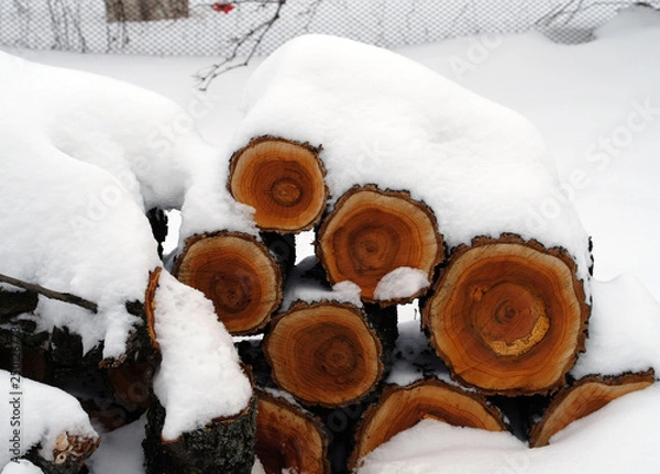 Obraz Logs for the fireplace under the snow