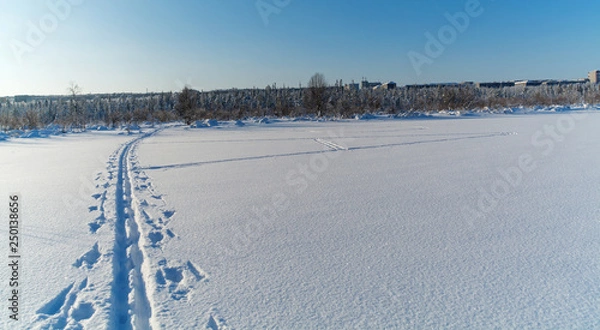 Obraz Fresh ski track in the winter day