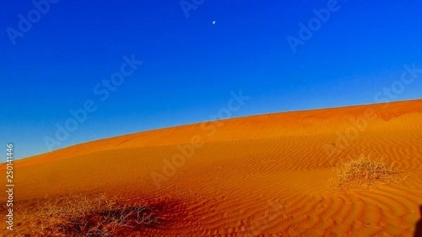Obraz Desert Moon