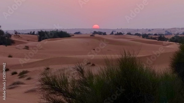 Obraz Desert Sun