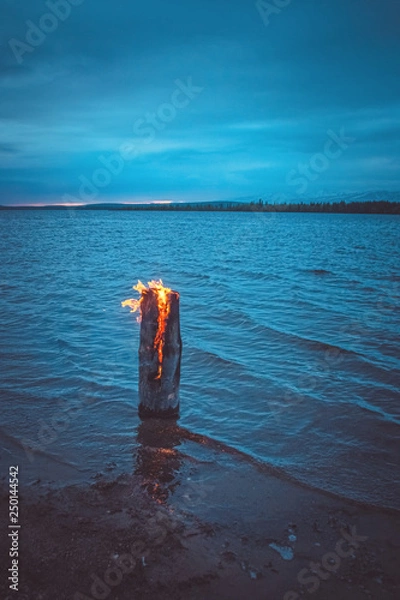 Obraz Burning log on the shallows of the lake