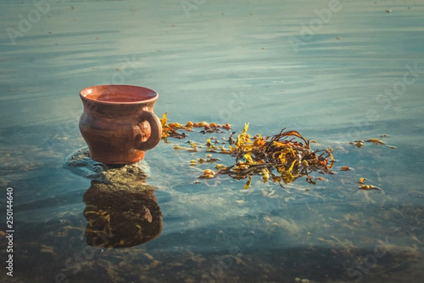 Obraz Stein and algae on the sea shallow