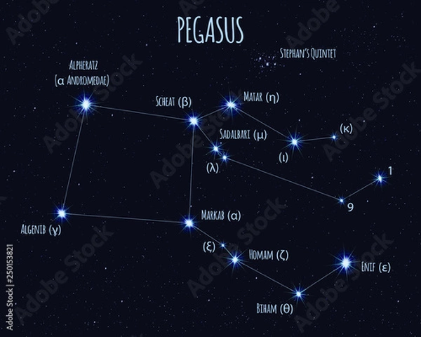 Obraz Konstelacja Pegaza, ilustracji wektorowych z nazwami podstawowych gwiazd na tle rozgwieżdżonego nieba