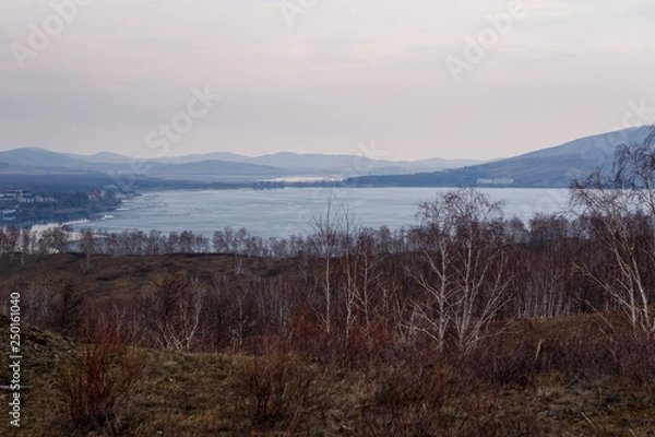 Fototapeta beginning of spring, landscape of bare trees,