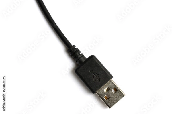 Obraz Black USB cable plug isolated on white background.