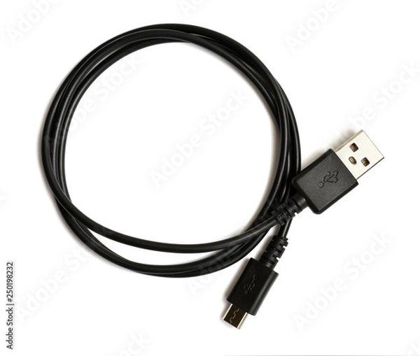 Obraz Black USB cable plug isolated on white background. USB - micro USB.