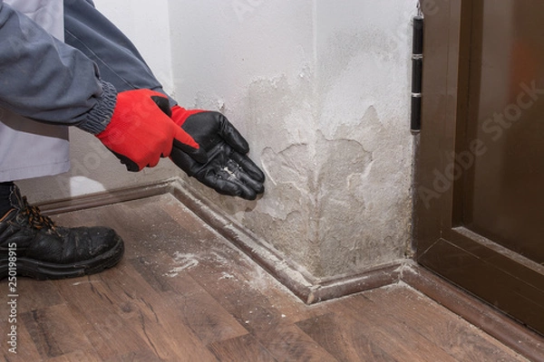 Obraz mortar falls due to decomposition, capillary moisture