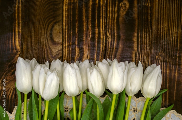 Obraz Wavy embroidered napkin  with delicate white tulips on stems with sharp green leaves lies on polished wooden boards