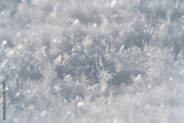 Obraz Snowflakes Close Up Abstract