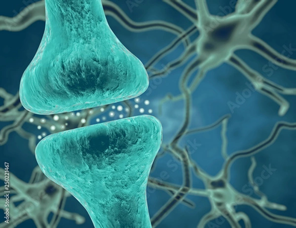 Obraz Synaptic transmission, nervous system inside.