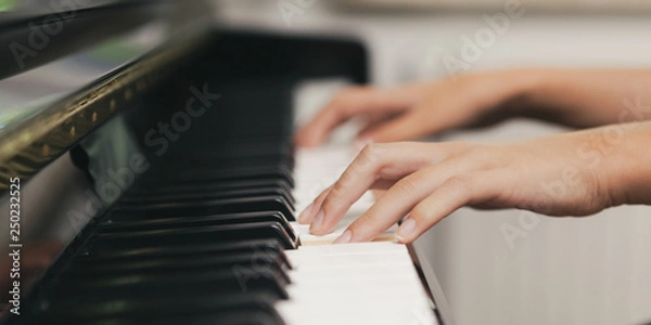 Obraz piano playing