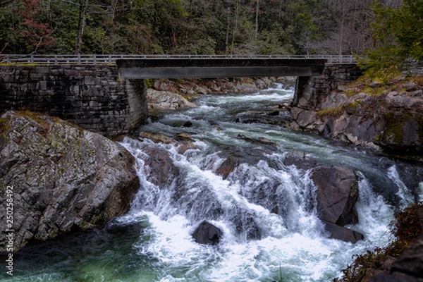 Fototapeta waterfall in forest