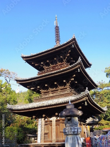 Fototapeta 石手寺三重塔