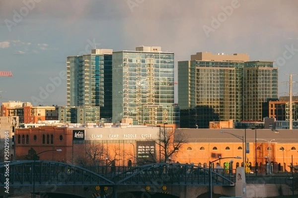 Obraz Denver Skyline