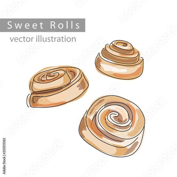Fototapeta Sinnamon Rolls vector illustration