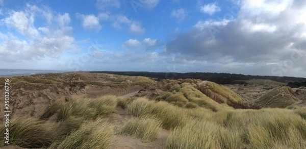 Obraz Overlooking Formby