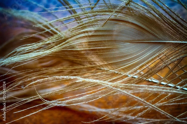 Obraz abstract background