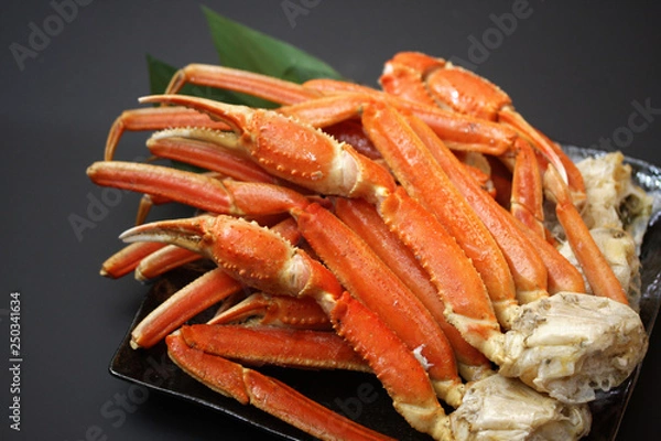 Obraz ズワイ蟹