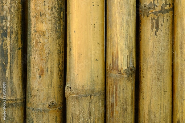Fototapeta old brown tone bamboo plank fence texture for background.close up of old brown tone bamboo plank fence texture for background.