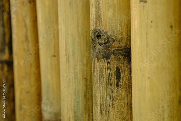 Fototapeta old brown tone bamboo plank fence texture for background.close up of old brown tone bamboo plank fence texture for background.