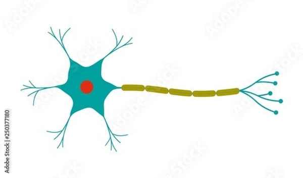 Obraz ニューロン
