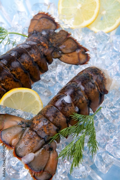 Obraz Raw lobster tails