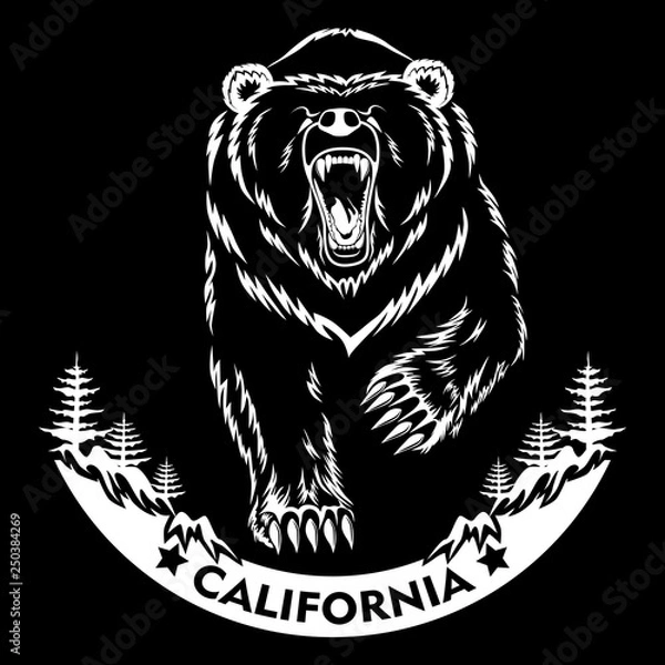 Obraz Bear and forest. White vector image on black background.