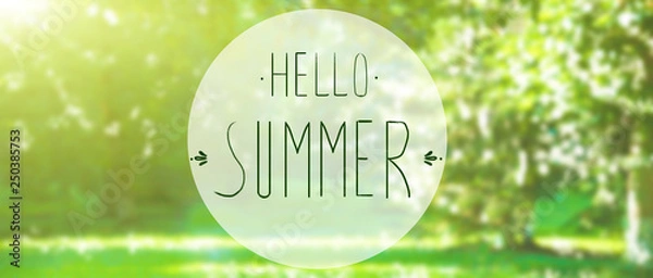 Obraz phrase Hello summer on the background of green foliage and sunlight