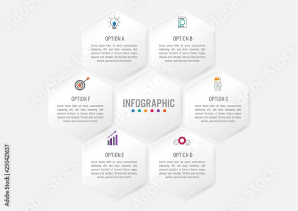 Fototapeta Business infographic template with 6 options hexagonal shape,Creative concept for infographic..