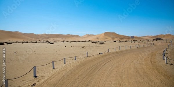 Obraz Desert Life, Namibia Africa
