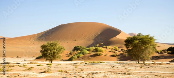 Obraz Sossusvlei, Namibia Africa
