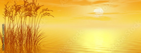 Fototapeta grass_sunset_p