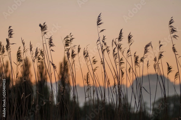 Obraz sunset lake landscape