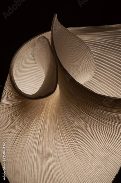 Fototapeta paper lamp, light, shadow, pattern